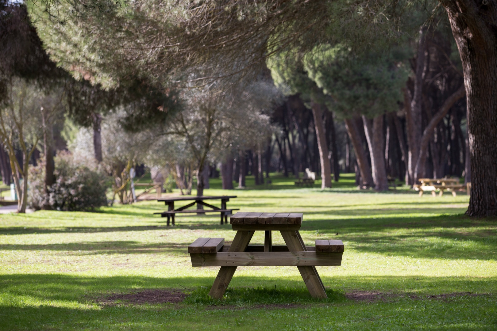 Parque Parque periurbano La Corchuela