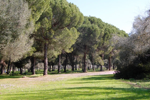 Parque Parque periurbano La Corchuela