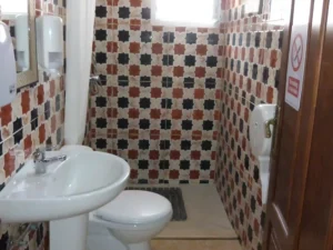 Baño Mixto